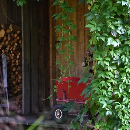 Gosciniec Szuwary Privatunterkunft *