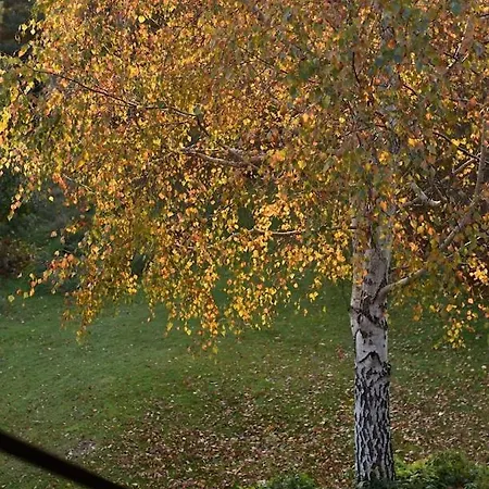 Gosciniec Szuwary Privat bolig *