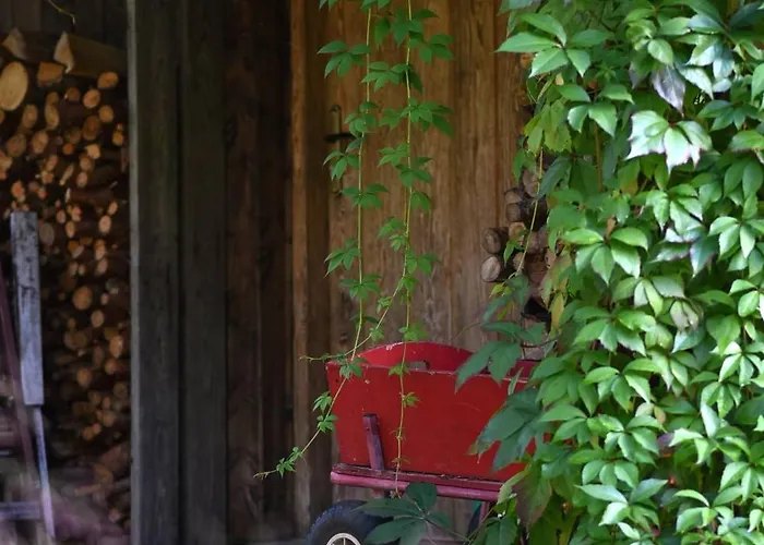 Gosciniec Szuwary Homestay *