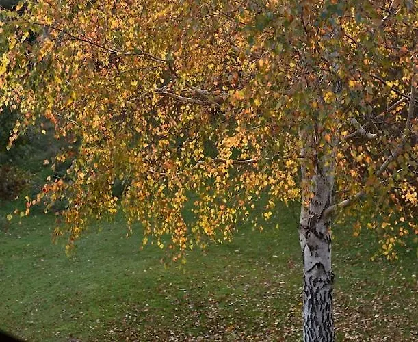 Gosciniec Szuwary Homestay *